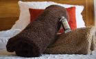 images/sejour-ardeche-maison-hotes/chambres-spacieuses-et-calmes-maison-hotes-de-charme/chambre-calme-avec-terrasse/chambre-2-_4.jpg